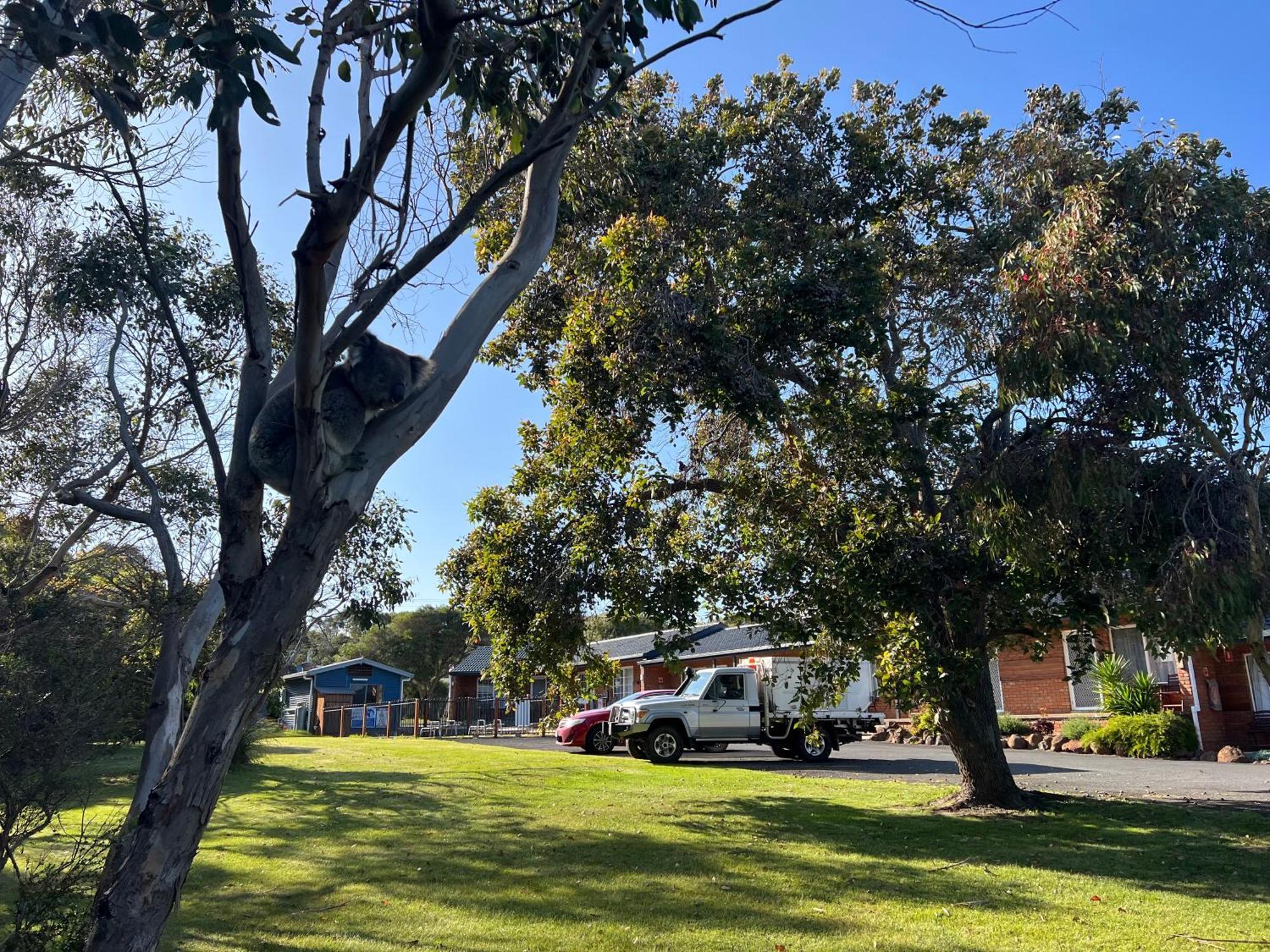 Motor Port Campbell