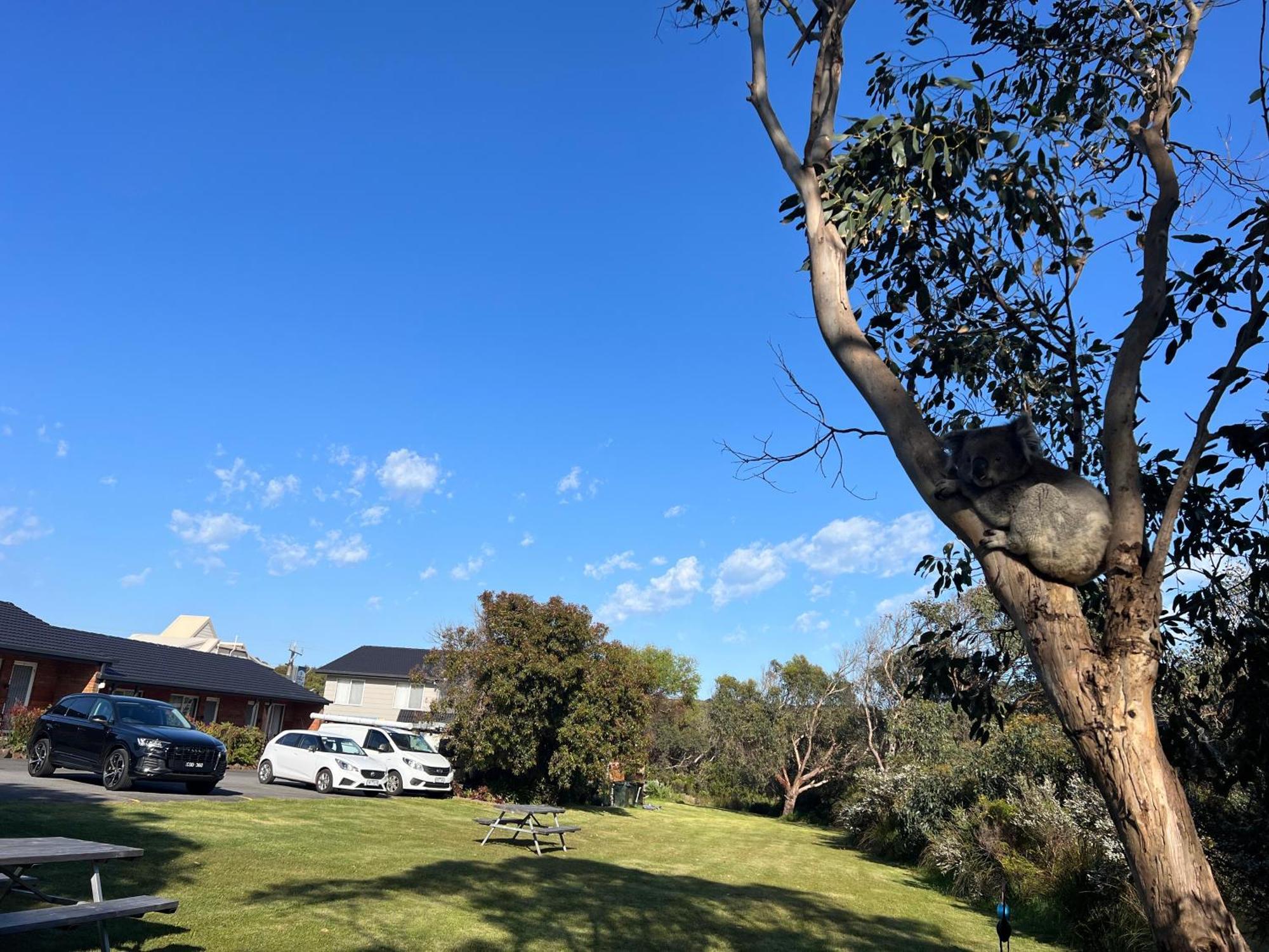Motel Motor Port Campbell
